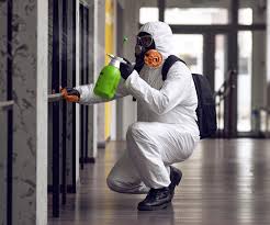 Why You Should Choose Our Mold Remediation Services in (206) 803-13630